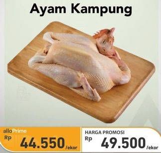 Promo Harga Ayam Kampung 1000 gr - Carrefour