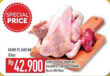 Promo Harga Ayam Pejantan  - Hypermart