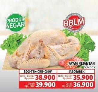 Promo Harga Ayam Pejantan 5-6 Ons  - Lotte Grosir