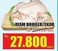 Promo Harga Ayam Broiler  - Hari Hari