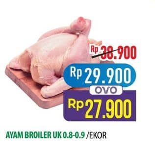 Promo Harga Ayam Broiler 800 gr - Hypermart