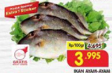 Promo Harga Ikan Ayam-Ayam per 100 gr - Superindo