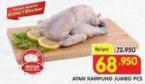 Promo Harga Ayam Kampung Jumbo  - Superindo