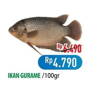 Promo Harga Ikan Gurame per 100 gr - Hypermart