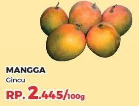 Promo Harga Mangga Gincu per 100 gr - Yogya