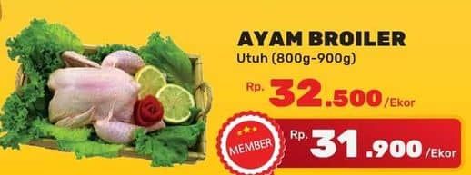 Promo Harga Ayam Broiler 800 gr - Yogya