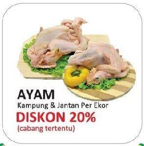 Promo Harga Ayam Kampung/Ayam Pejantan  - Yogya