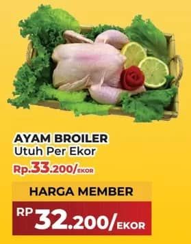 Promo Harga Ayam Broiler 900 gr - Yogya