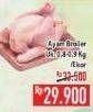 Promo Harga Ayam Broiler 800 gr - Hypermart