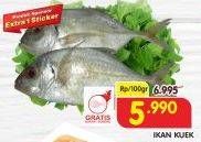 Promo Harga Ikan Kuwe per 100 gr - Superindo