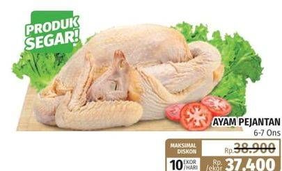 Promo Harga Ayam Pejantan 6-7ons  - Lotte Grosir