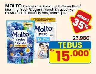 Molto Pewangi