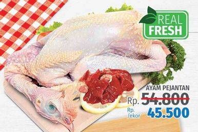 Promo Harga Ayam Pejantan  - LotteMart