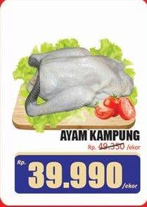 Promo Harga Ayam Kampung 600 gr - Hari Hari