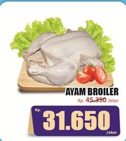 Promo Harga Ayam Broiler 500 gr - Hari Hari