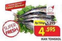 Promo Harga Ikan Tongkol per 100 gr - Superindo