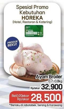 Promo Harga Ayam Broiler 700 gr - Lotte Grosir