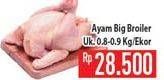 Promo Harga Ayam Broiler  - Hypermart