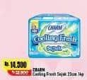 Promo Harga Charm Cooling Fresh Sejuk Wing 23cm 14 pcs - Alfamart