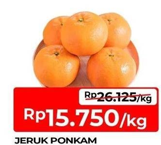 Promo Harga Jeruk Ponkam  - TIP TOP