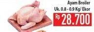 Promo Harga Ayam Broiler  - Hypermart