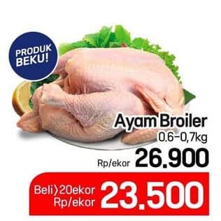 Ayam Broiler