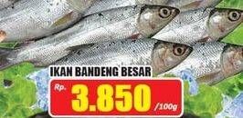 Promo Harga Ikan Bandeng Jumbo per 100 gr - Hari Hari