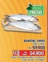 Promo Harga Ikan Bandeng Jumbo  - LotteMart