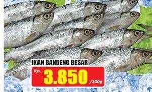 Promo Harga Ikan Bandeng Besar per 100 gr - Hari Hari