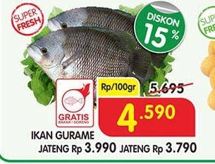 Promo Harga Ikan Gurame per 100 gr - Superindo