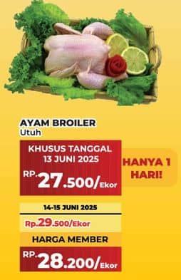 Promo Harga Ayam Broiler 500 gr - Yogya