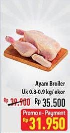 Promo Harga Ayam Broiler 800 gr - Hypermart