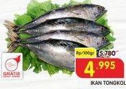 Promo Harga Ikan Tongkol per 100 gr - Superindo