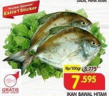 Promo Harga Ikan Bawal Hitam per 100 gr - Superindo