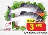 Promo Harga Ikan Bawal Tawar per 100 gr - Superindo