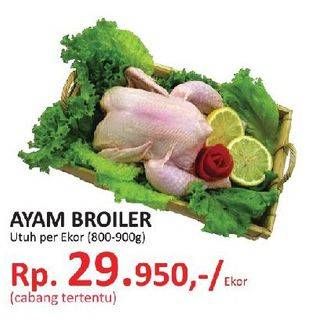 Promo Harga Ayam Broiler Utuh  - Yogya