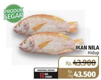 Promo Harga Ikan Nila Hidup  - Lotte Grosir