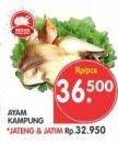 Promo Harga Ayam Kampung  - Superindo