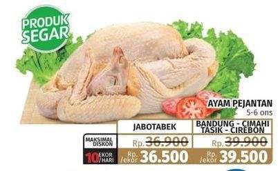 Promo Harga Ayam Pejantan 5-6 Ons  - Lotte Grosir