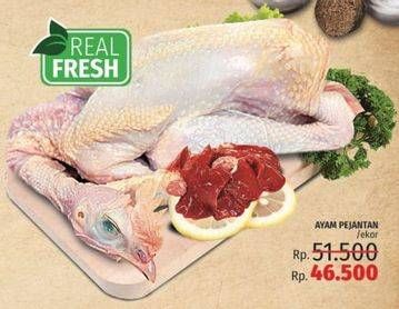 Promo Harga Ayam Pejantan  - LotteMart