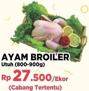 Promo Harga Ayam Broiler Utuh  - Yogya