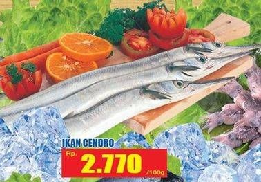 Promo Harga Ikan Cendro per 100 gr - Hari Hari