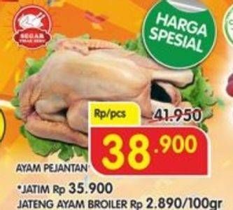 Promo Harga Ayam Pejantan  - Superindo