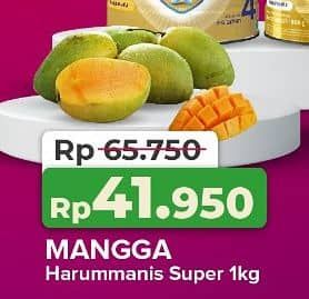 Promo Harga Mangga Harum Manis Super per 1000 gr - Yogya