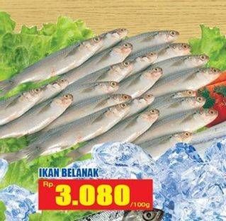 Promo Harga Ikan Belanak per 100 gr - Hari Hari