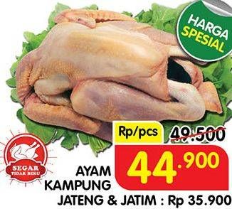 Promo Harga Ayam Kampung  - Superindo