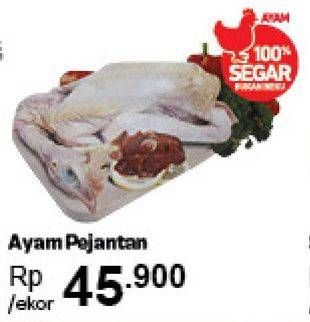 Promo Harga Ayam Pejantan  - Carrefour