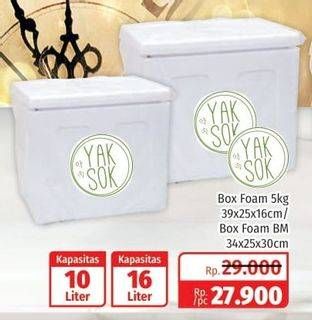 Promo Harga YAKSOK Box Foam  - Lotte Grosir