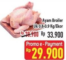 Promo Harga Ayam Broiler 800 gr - Hypermart