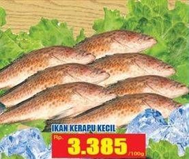 Promo Harga Ikan Kerapu Kecil per 100 gr - Hari Hari